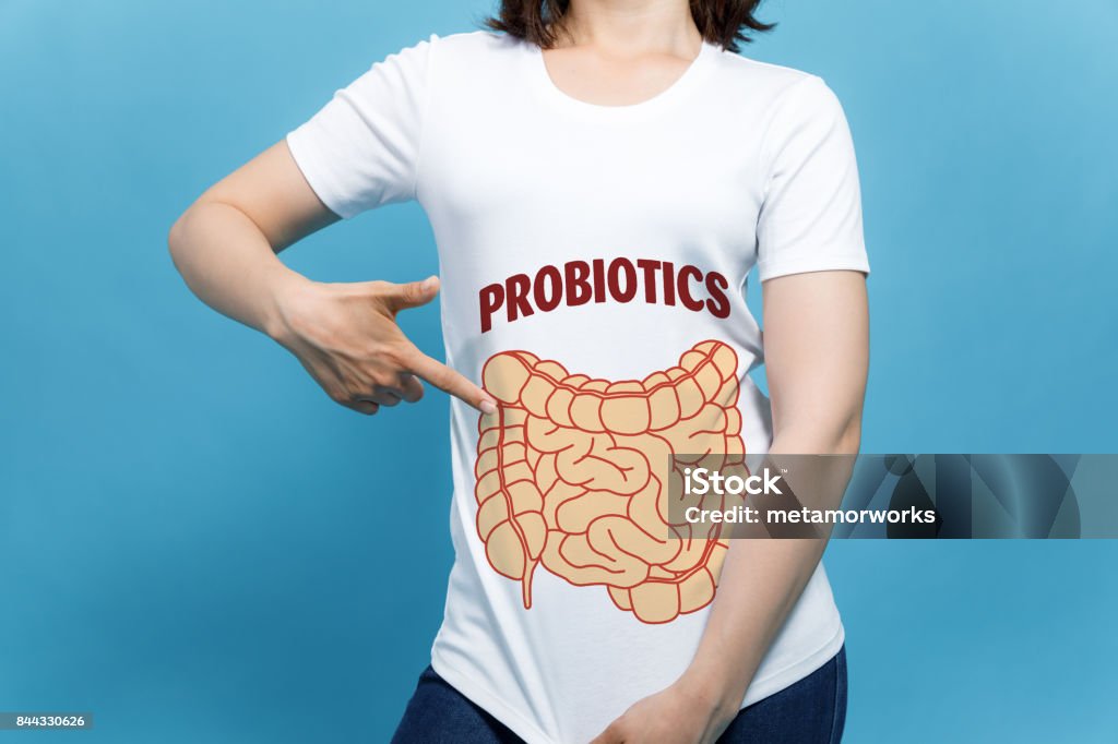 young woman wearing a T-shirt printed with an intestinal illustration Probiotic Stock Photo