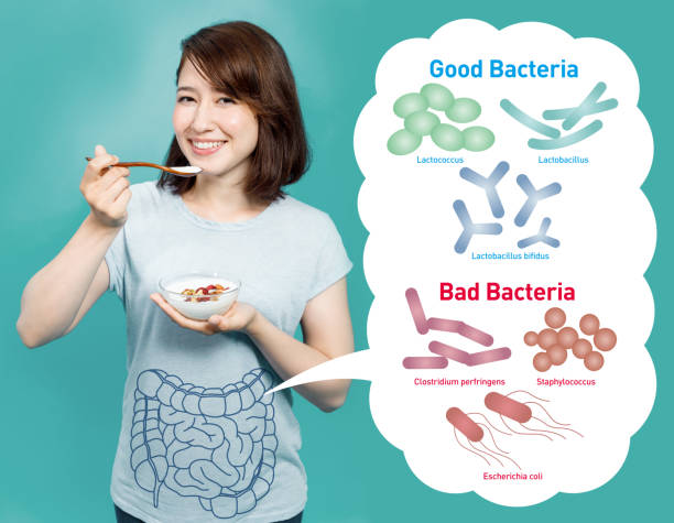 mujer joven que come yogur, bacterias buenas y bacterias malas, flora intestinal, la flora intestinal. - gut bacteria fotografías e imágenes de stock