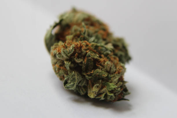 istock Girl scout cookies nugget 844333434
