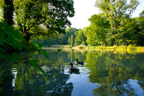 Photo of Pond of Klettenberg, Cologne, Germany