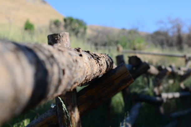 istock Old wood fence 844337772