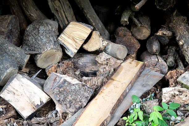 istock Pile of firewood 844337832
