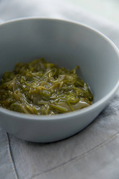 istock Mekabu (a type of tender wakame seaweed)Mekabu (a type of tender wakame seaweed)Mekabu (a type of tender wakame seaweed) 844337942