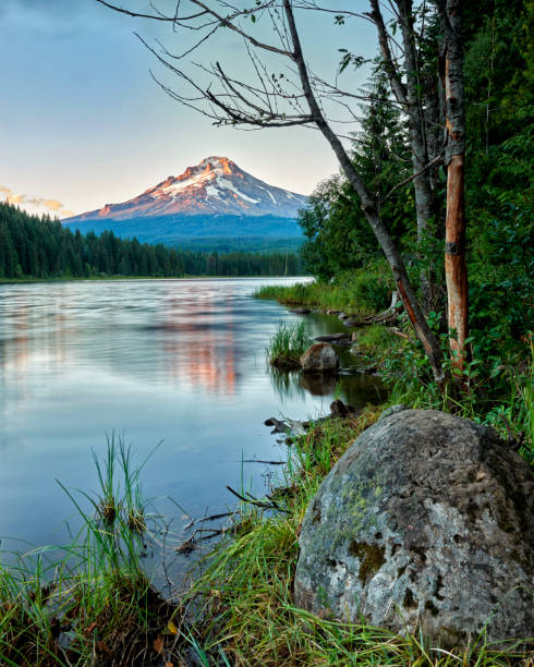 istock Mt. Hood over Trillium Lake 844346600