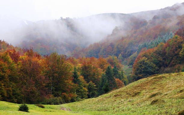 istock Golden Autumn in the Carpathians 844353652