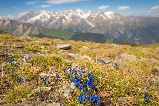 istock Summer hiking mountain background 844365274