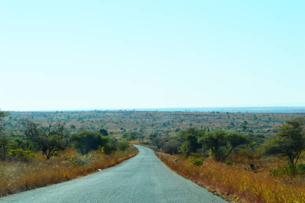 istock Road between Miandrivazo and Morondava Madagascar 844374804