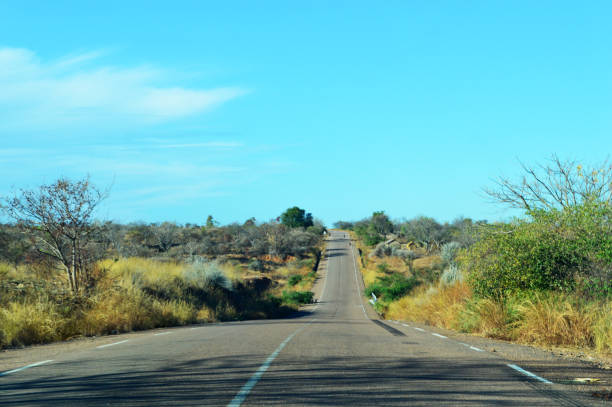 istock Road between Miandrivazo and Morondava Madagascar 844377776