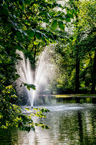 istock Fountain in the city park on a summer day 844382396
