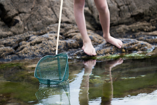 Close Up Of Child Fishing In Rockpool With Net