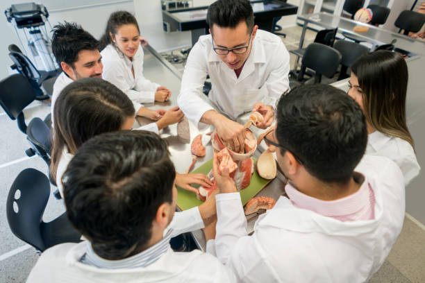 istock Group of medical students in an anatomy class 844392976
