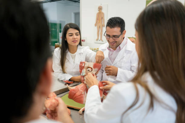 istock Group of science students in an anatomy class 844393032