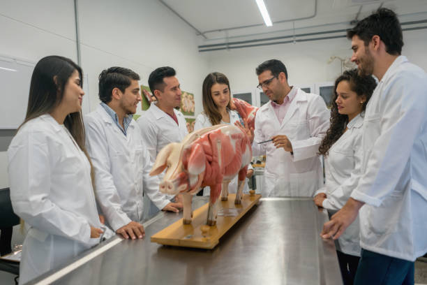 Group of veterinary students in an anatomy class