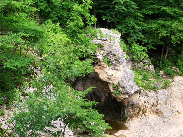 The mountain river in the gorge.