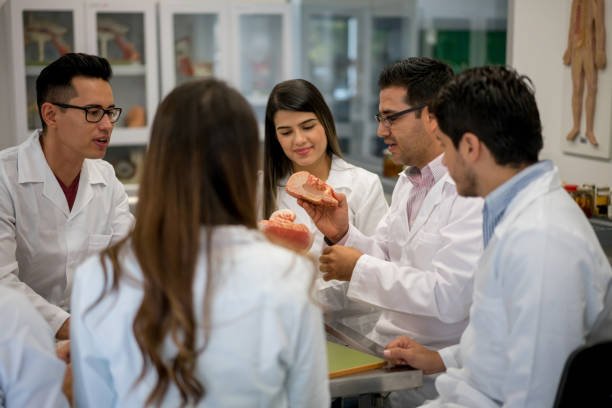 istock Group of medical students in an anatomy class 844394384
