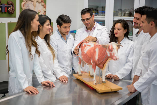 istock Group of veterinary students in an anatomy class 844394412