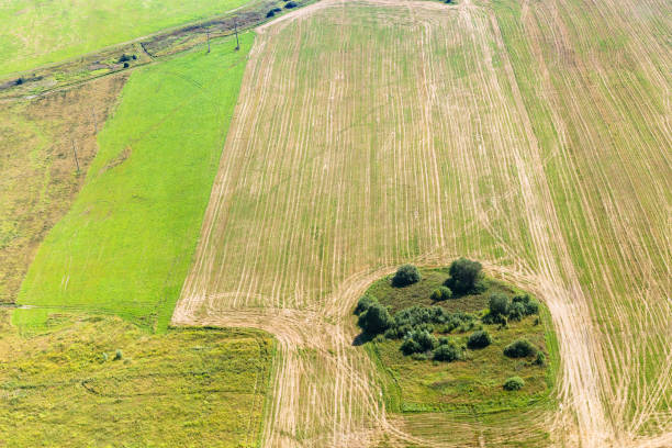 istock green winter and yellow harvested fields 844396018