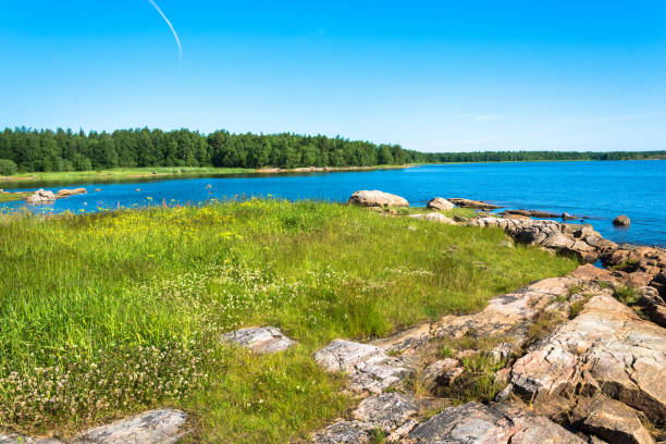 istock Rocky shore of the White sea. 844397194