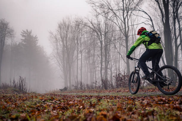 Mountain biker on cycling trail in woods stock photo