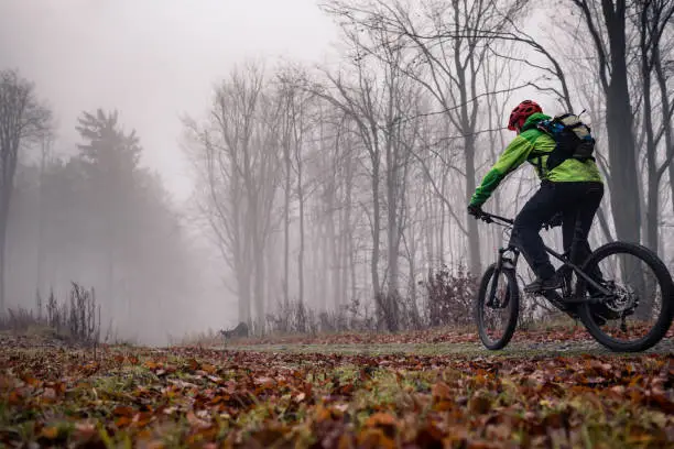 Mountain biker on trail in woods. Bike rider in winter or autumn landscape forest. Man cycling MTB on rural country road. Sport fitness motivation and inspiration.