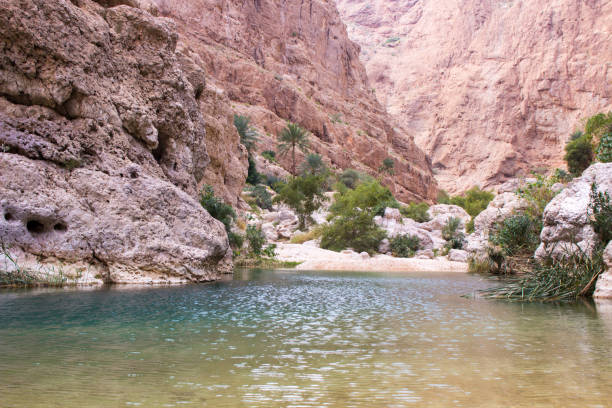 istock Wadi Shab in the Sultanate of Oman 844398412
