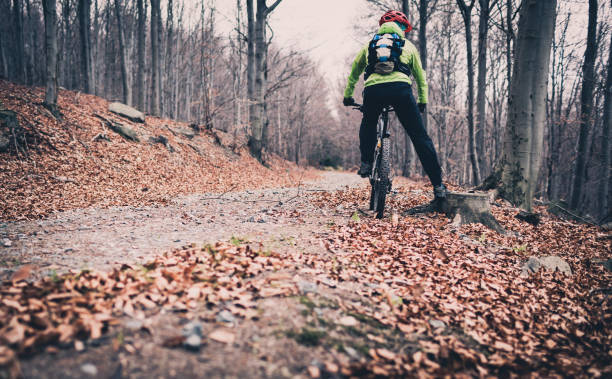istock Mountain biking on trail in autumn forest 844400738