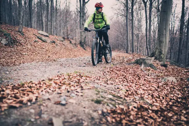 Photo of Mountain biker riding on trail in autumn woods