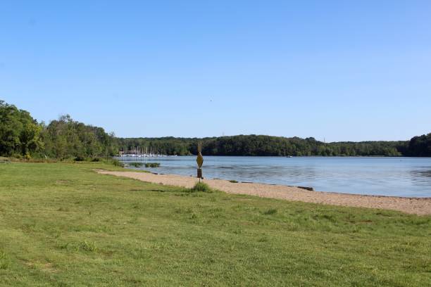 istock Beach Area and Lake 844413790