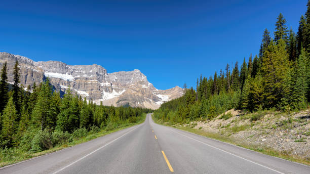istock Highway through the Canadian Rockies 844416858