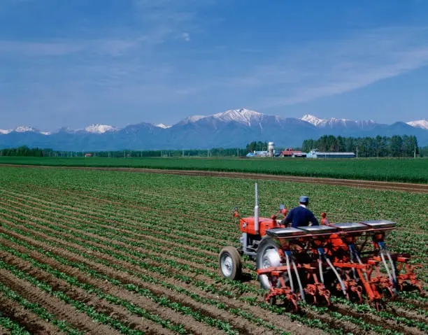 Ploughing with japanesegarden tractors