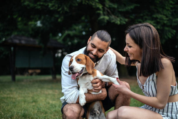 Playing with our pet Happy couple enjoying time with their dog. hipster dog stock pictures, royalty-free photos & images