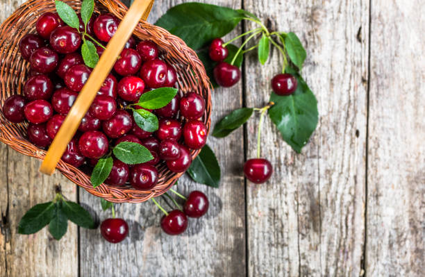 istock Organic cherries, farm fresh fruits on farmer table 844425214