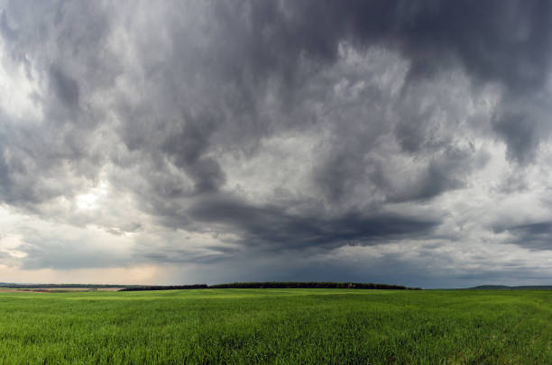 istock Dramatic storm scene with rain at the horizon and rural path going towards left 844425840