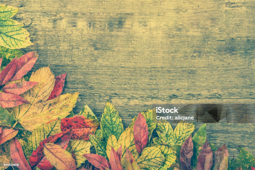 Marco De Otoño Fondos De Pantalla Con Hojas Sobre Fondo Rústico Foto de stock y más banco de imágenes de Abstracto - iStock Marco De Otoño Fondos De Pantalla Con Hojas Sobre Fondo Rústico Foto de stock y más banco de imágenes de Abstracto - iStock