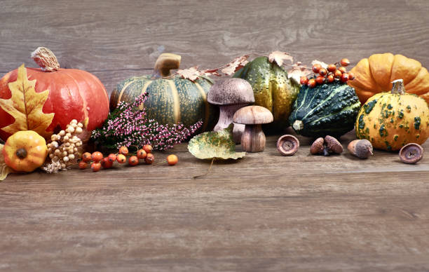 istock Autumn background with Fall dry decorations on wood, space 844444964