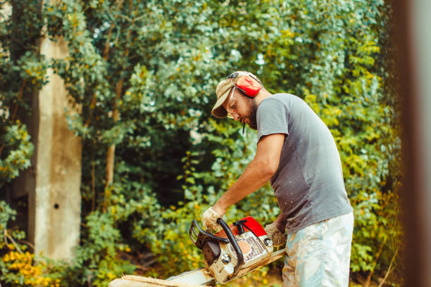 istock a man is sawing a log with a saw 844450890