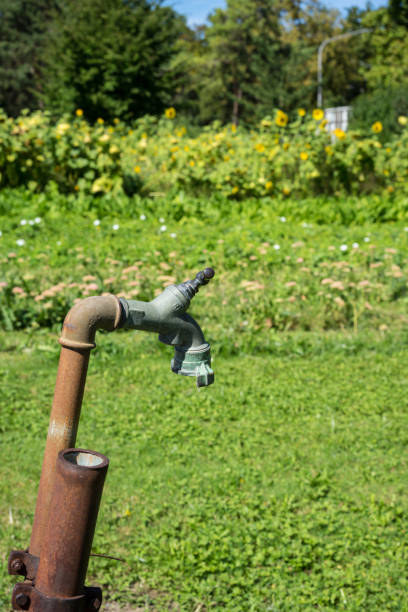 istock rusty old water pipe in garden at a hot summer day 844454778