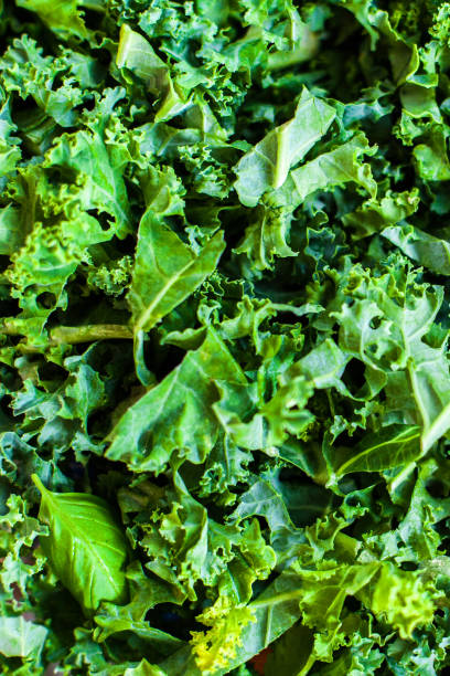 istock Fresh green kale salad leaves  background