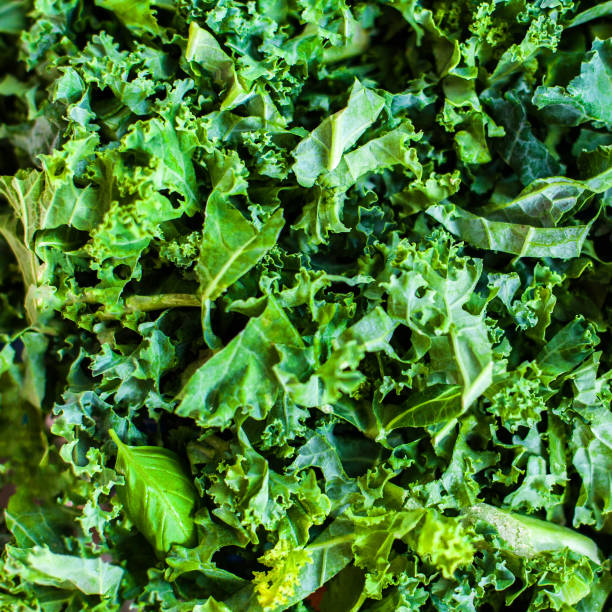 istock Fresh green kale salad leaves  background