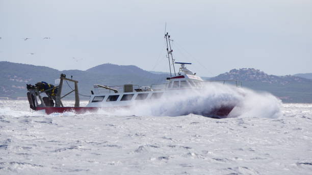 istock Fisherboat on rough sea with birds 844458188