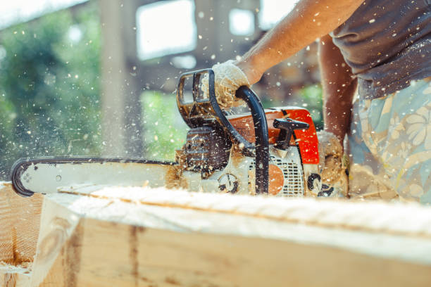 worker sawing a chainsaw tree - bark tree cross section wood imagens e fotografias de stock