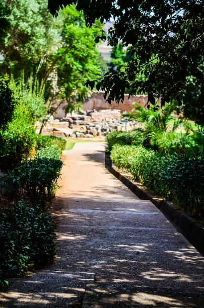 istock A small garden with a passage way in the middle 844470040