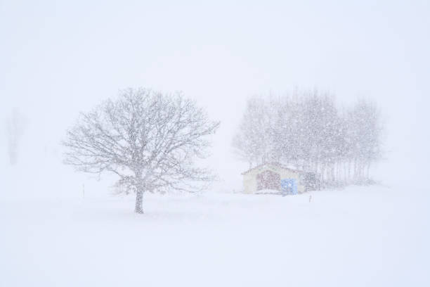 istock Seven stars of winter trees 844470730