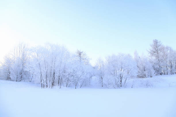 istock Rime of snow 844471126