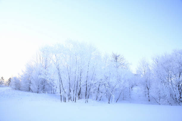 istock Rime of snow 844471136