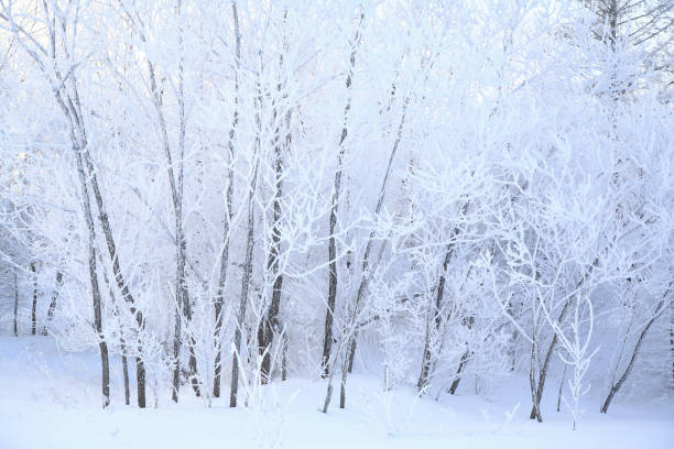 istock Rime of snow 844471138