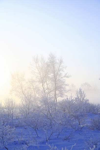 istock Rime of snow 844471210