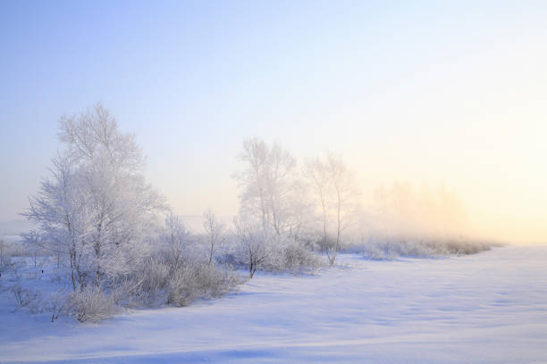 Rime of snow