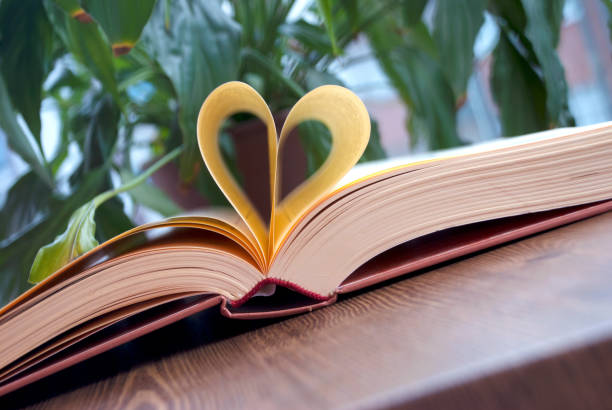 amor y libro - outdoors book reading accessibility fotografías e imágenes de stock