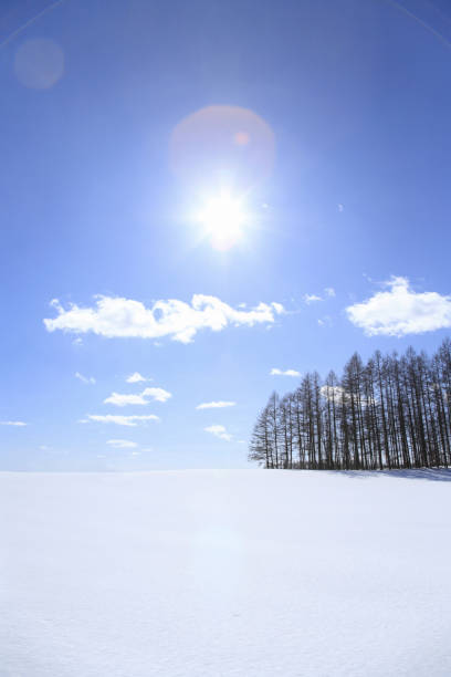 istock Windbreaks of snow and Sun 844471776